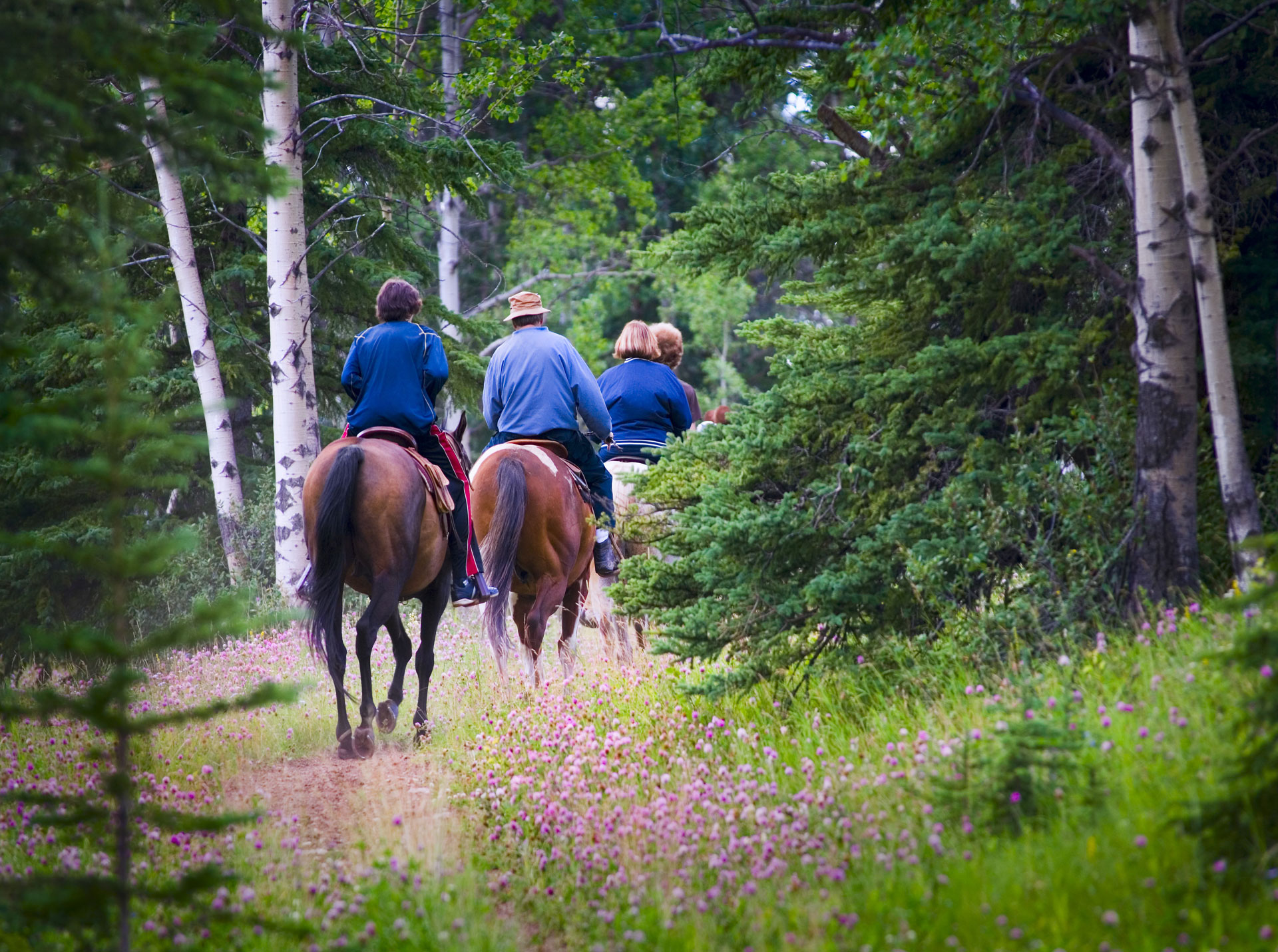 StayGranbyRanch Mountain View